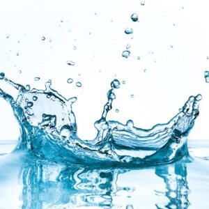 Mamba – Conscience Suprême de l&rsquo;Eau