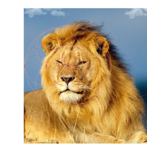 Gataki Conscience Suprême de l'Ether